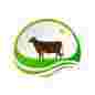 Cam Dairy Foods Limited logo